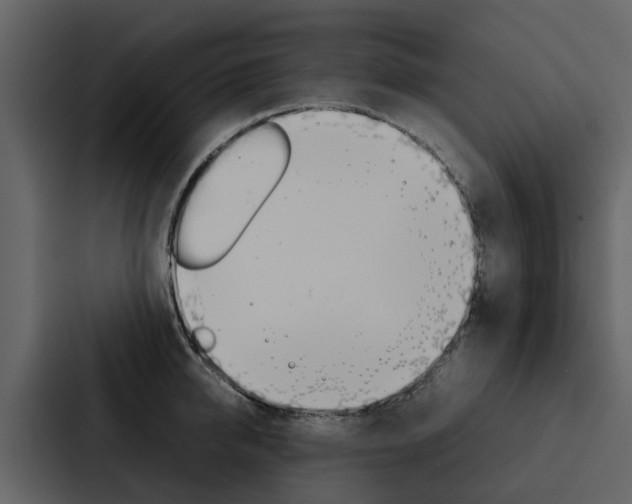 X0000088150950200705141049