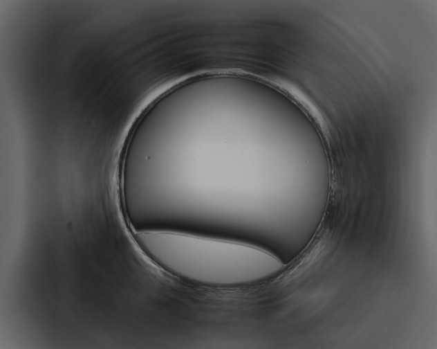 X0000088150951200705141049