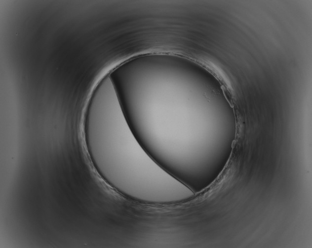 X0000088150952200705141049