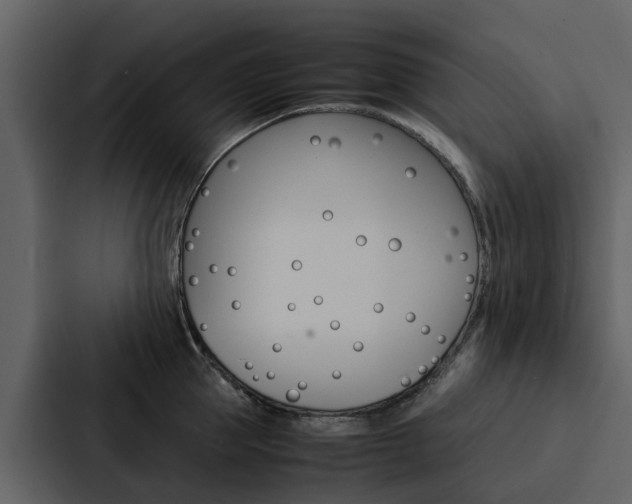 X0000088150953200705141049