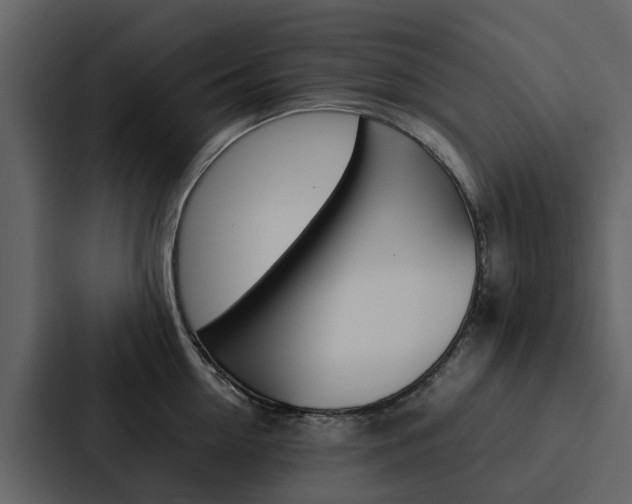 X0000088150954200705141049