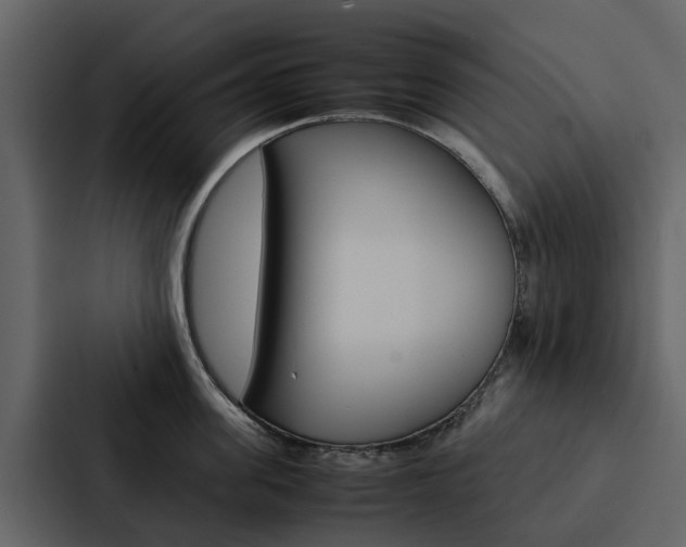 X0000088150955200705141049
