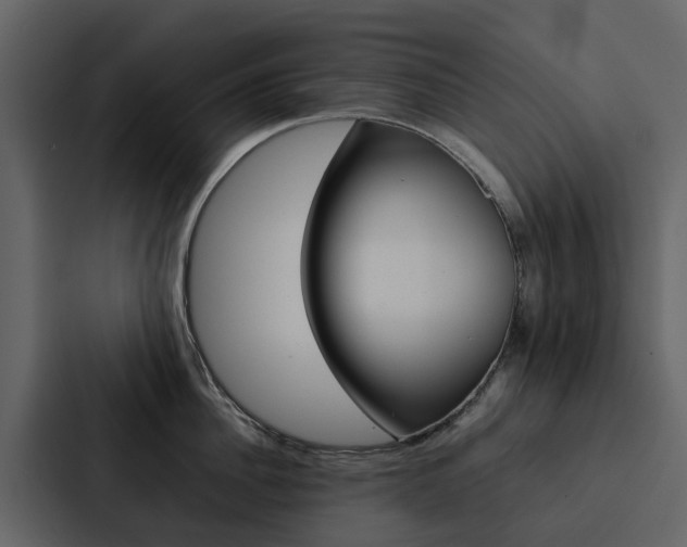X0000088150956200705141049