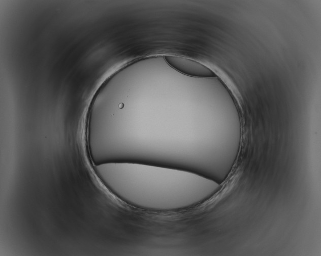 X0000088150957200705141049