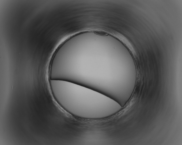 X0000088150958200705141049