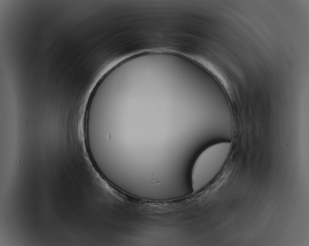 X0000088150959200705141049