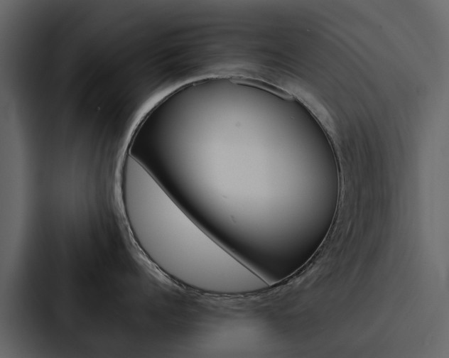 X0000088150960200705141049