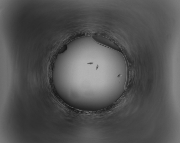 X0000088150961200705141048