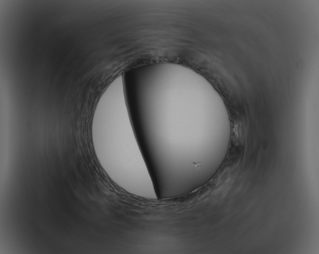 X0000088150963200705141048