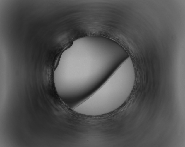 X0000088150964200705141048