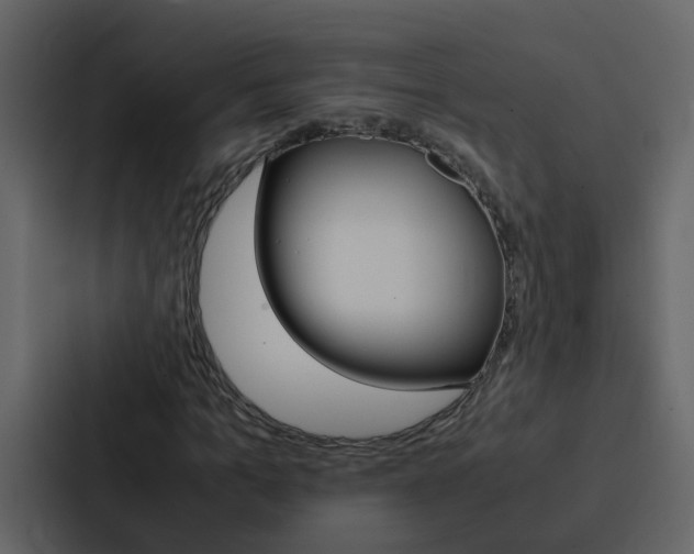 X0000088150965200705141048