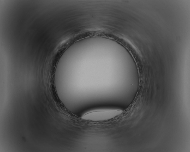 X0000088150967200705141048
