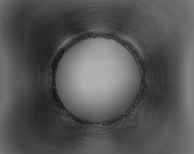 X0000088150968200705141048