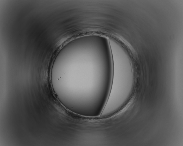 X0000088150969200705141048