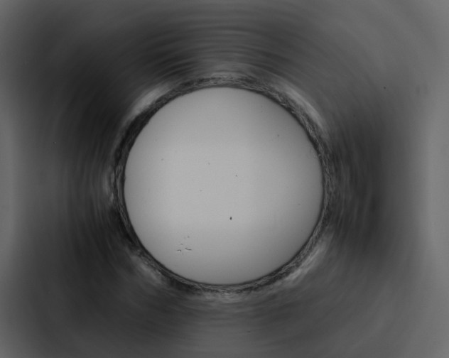 X0000088150970200705141048