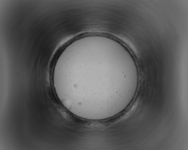 X0000088150974200705141048