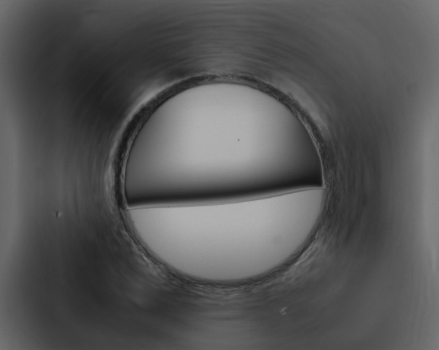 X0000088150975200705141048