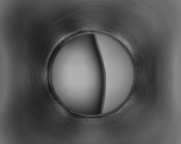 X0000088150976200705141048