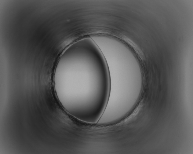 X0000088150977200705141048