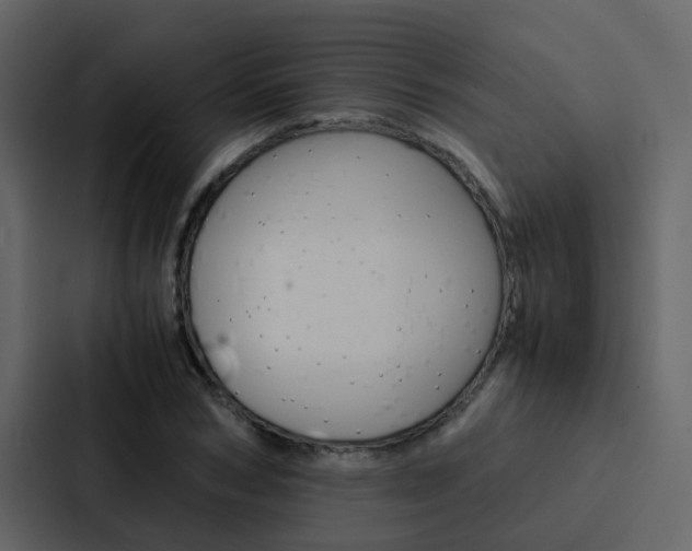 X0000088150978200705141048
