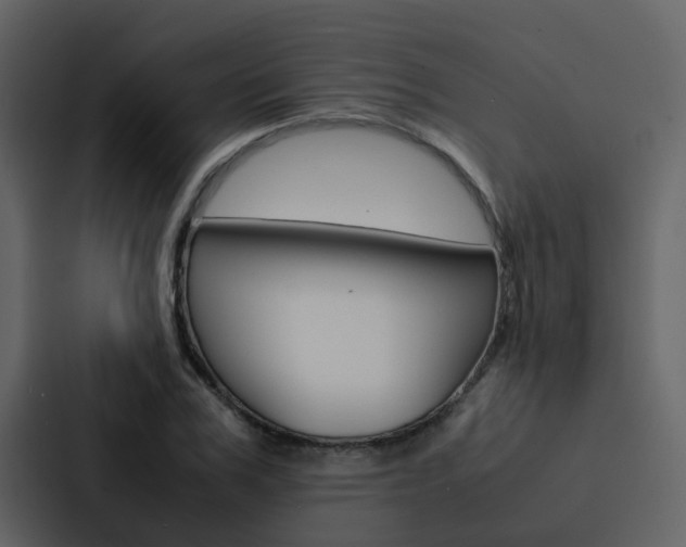 X0000088150979200705141048