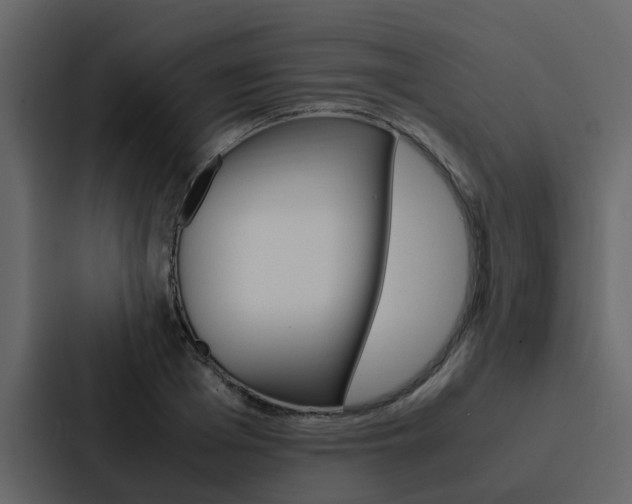 X0000088150985200705141048