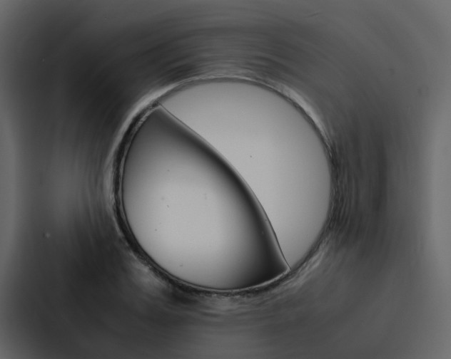 X0000088150987200705141048