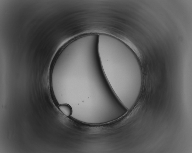 X0000088150988200705141048