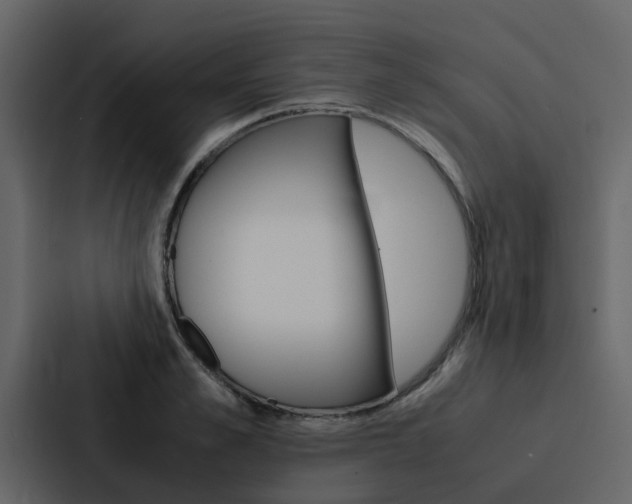 X0000088150989200705141048