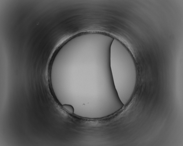 X0000088150990200705141048