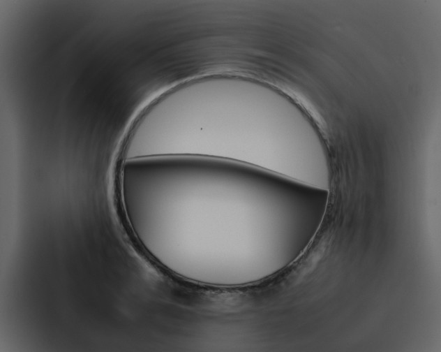 X0000088150991200705141048