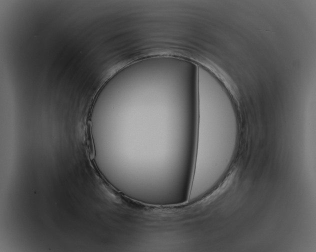 X0000088150993200705141048