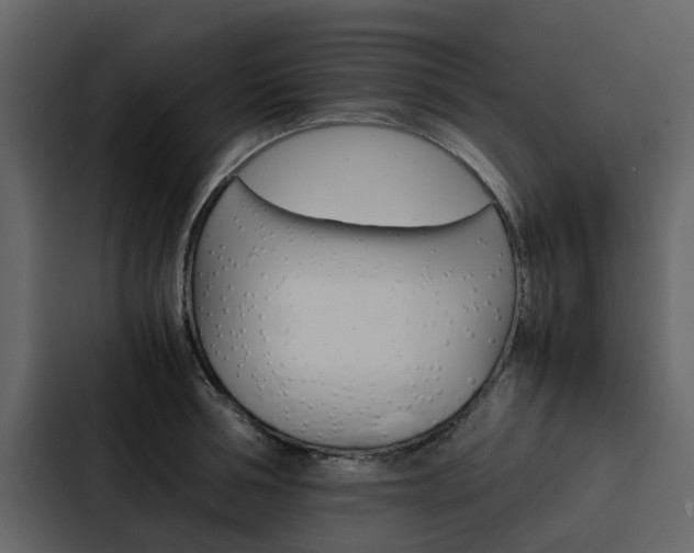 X0000088150994200705141048