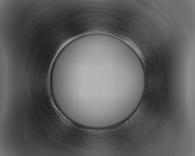 X0000088150996200705141048