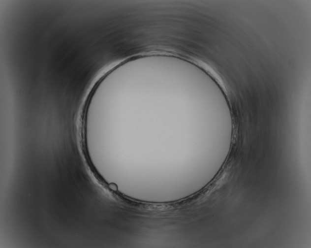 X0000088151003200705141048