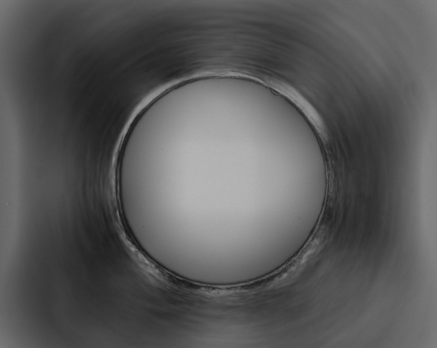X0000088151004200705141048