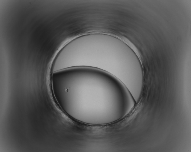 X0000088151005200705141048