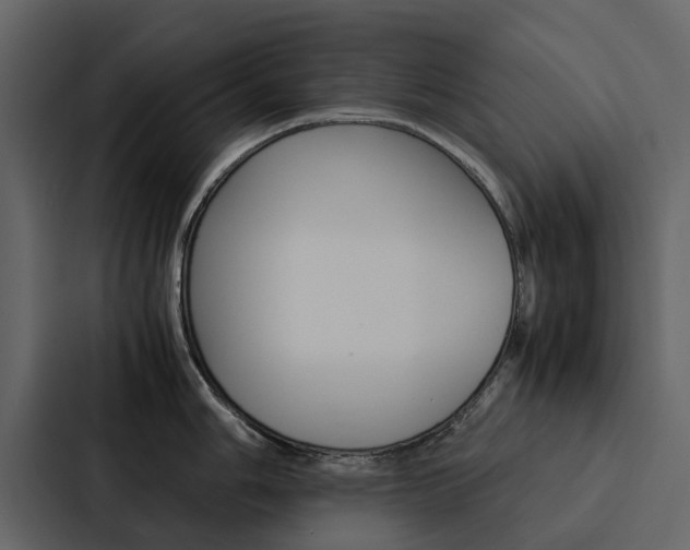 X0000088151006200705141048
