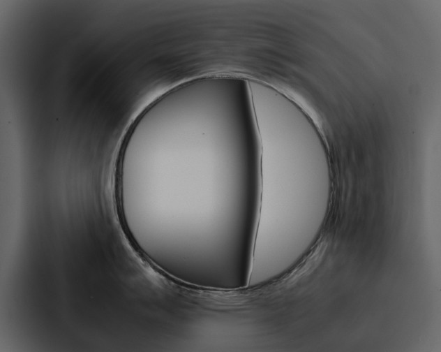 X0000088151007200705141048
