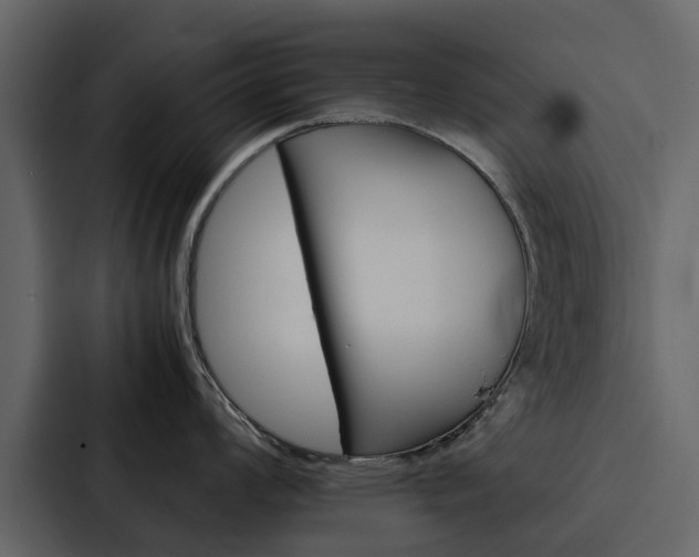 X0000088151008200705141048