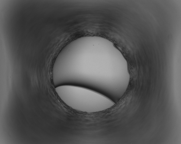 X0000088151009200705141047