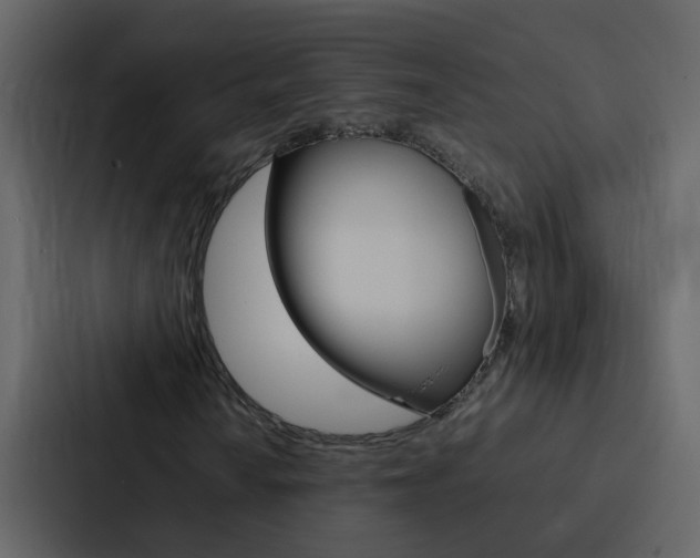 X0000088151010200705141047
