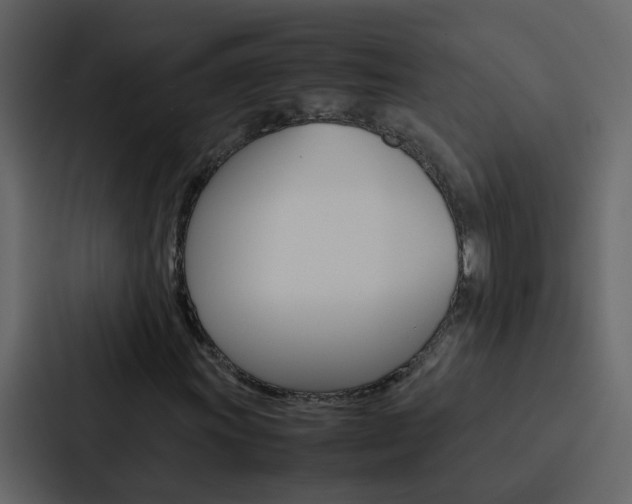 X0000088151011200705141047