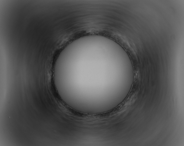 X0000088151012200705141047