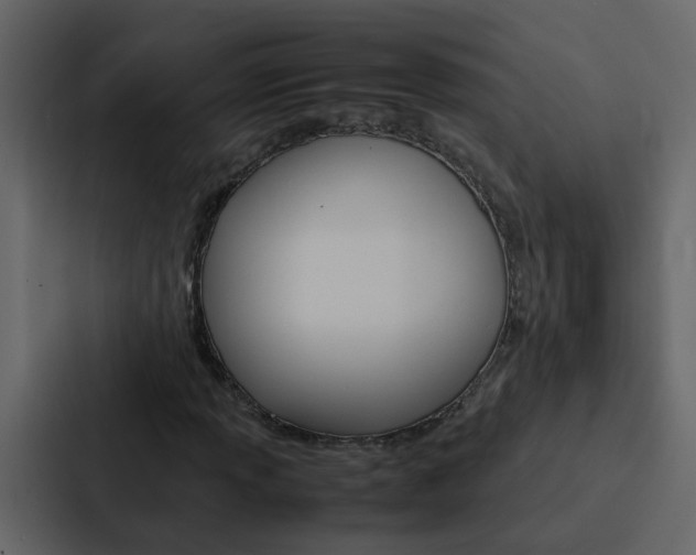 X0000088151013200705141047