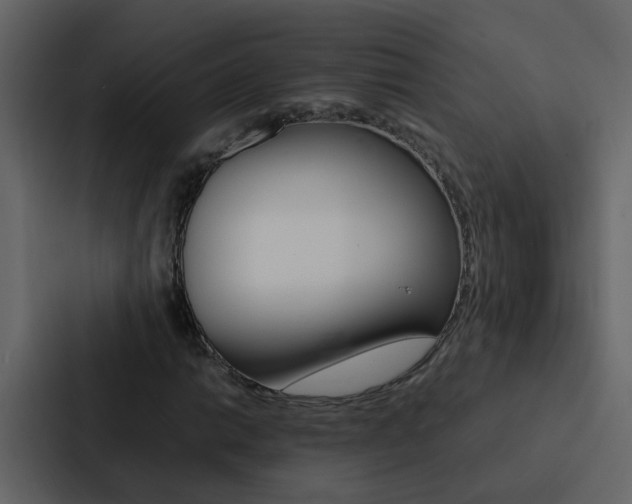 X0000088151014200705141047