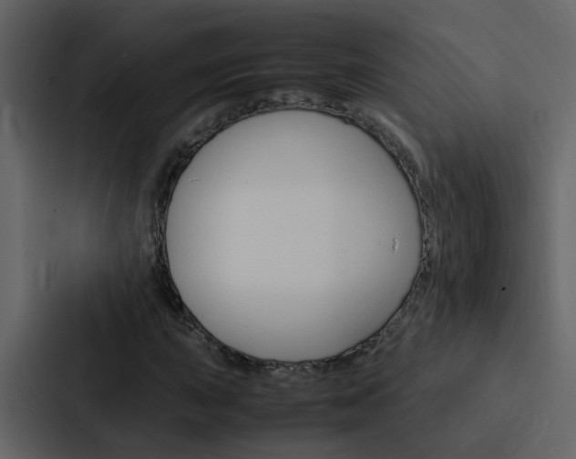 X0000088151015200705141047