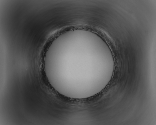 X0000088151016200705141047