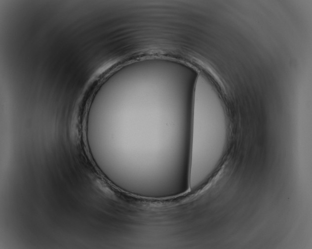 X0000088151018200705141047