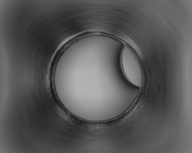 X0000088151020200705141047